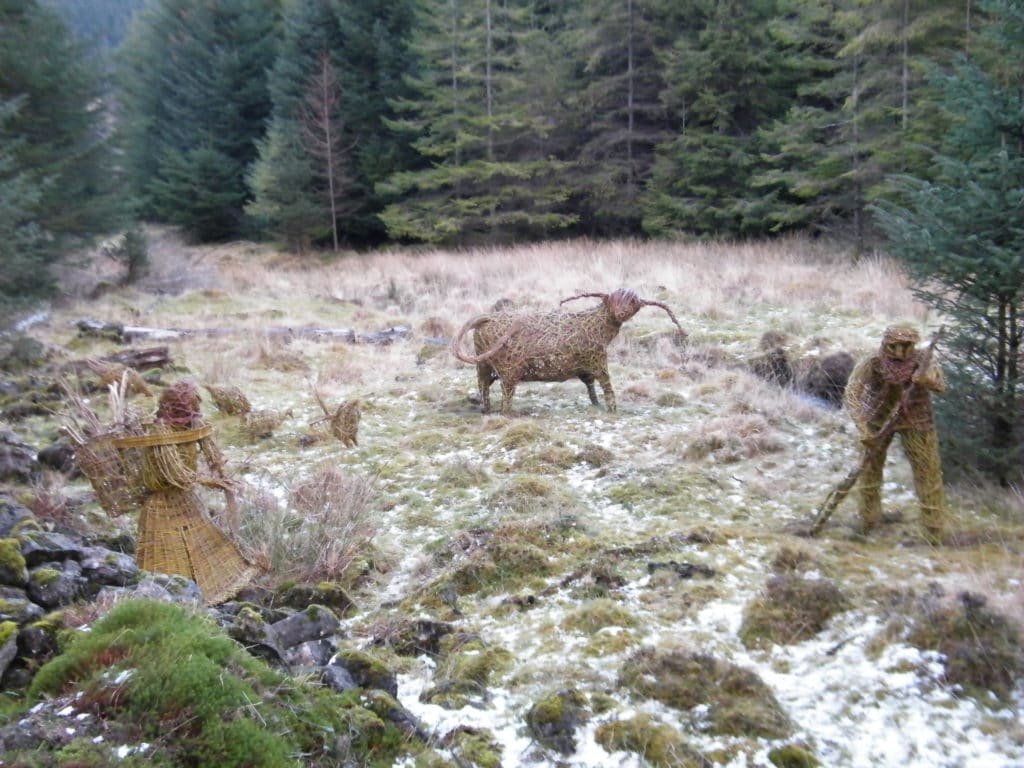 Tiroran Community Forest